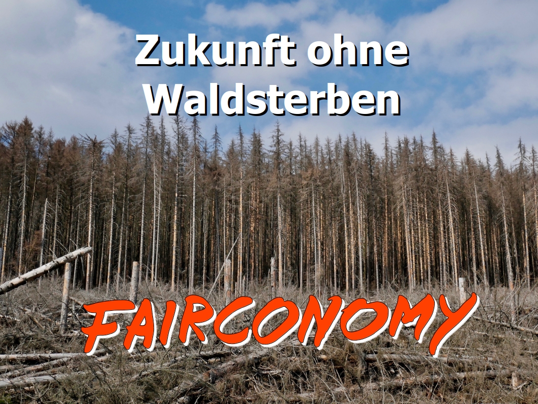 Text: "Zukunft ohne Waldsterben" Fairconomy-Schriftzug. Bild: Ein toter Wald im Hintergrund, im Vordergrund eine gerodete Fläche